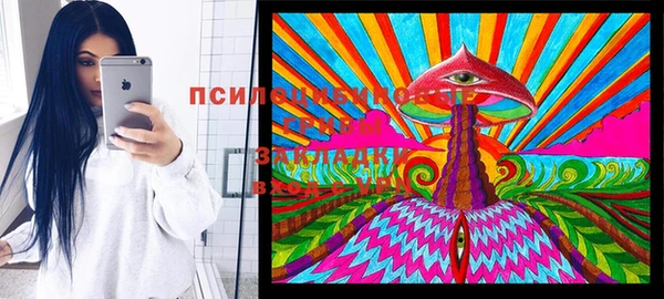 хмурый Алзамай