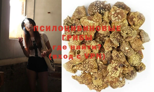 apvp Алексин